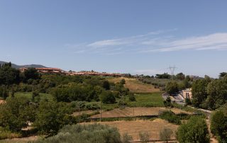 sancesareo_46